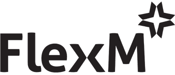 FlexM logo